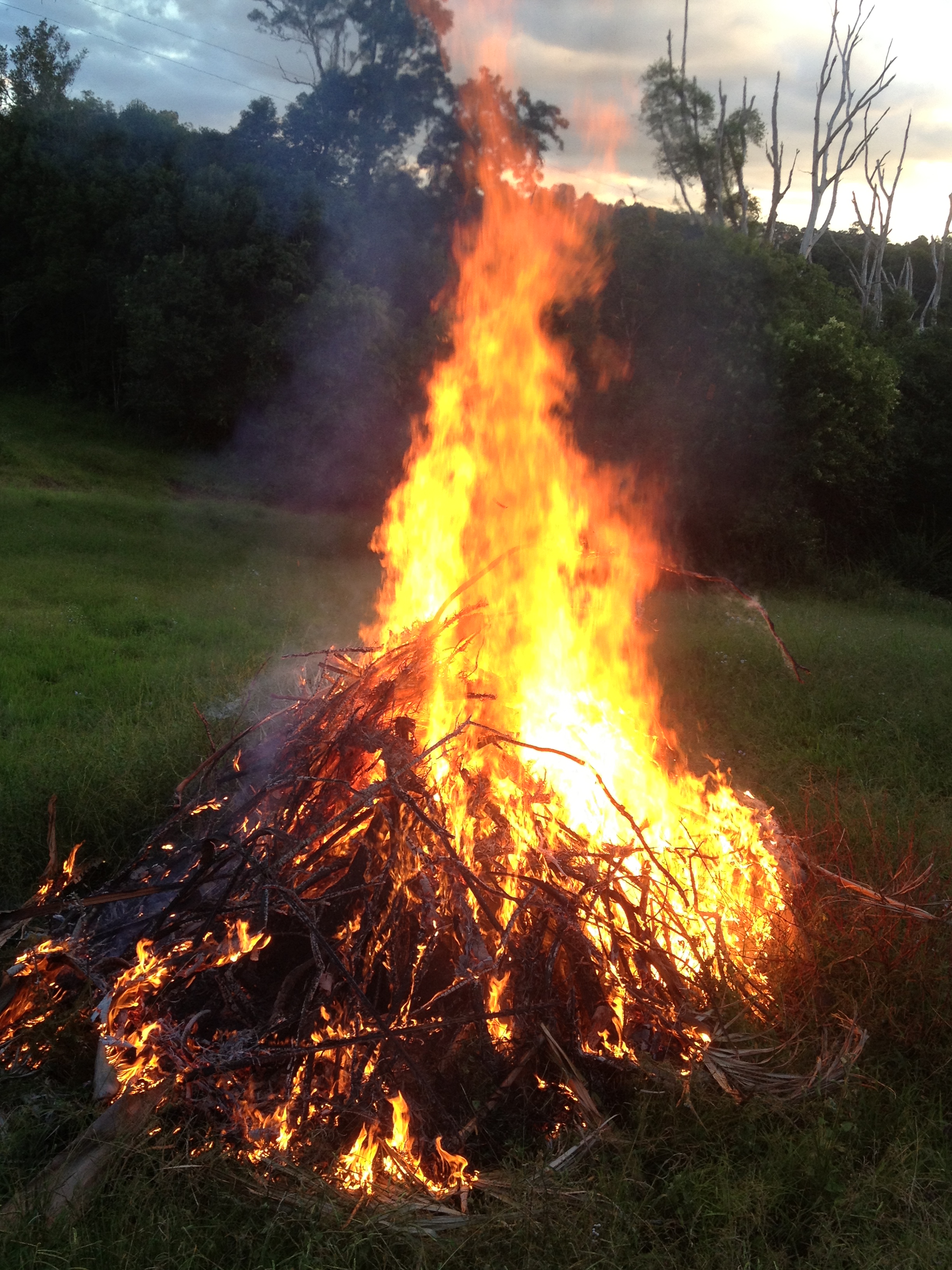 bonfire front paddock