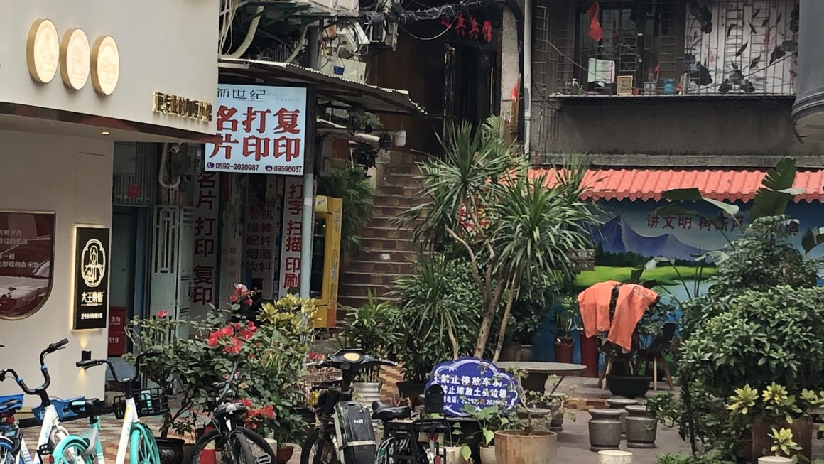 A Dumpling Tour of Shanghai