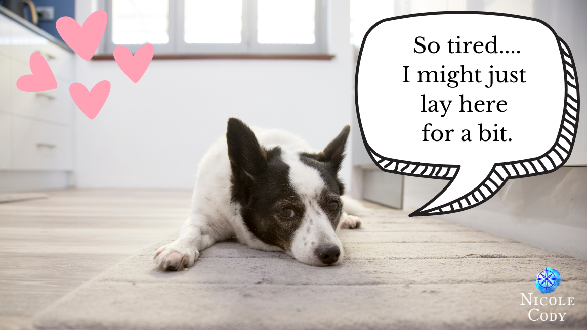 Taking A Weekend Off