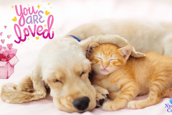 Safety and Reassurance – Monday Oracle 24 June 2024