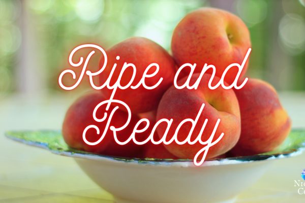 That Time Is Now – Monday Oracle 19 August 2024