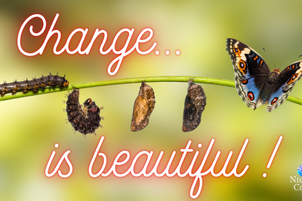 Slowly Slowly Change – Monday Oracle 2 September 2024