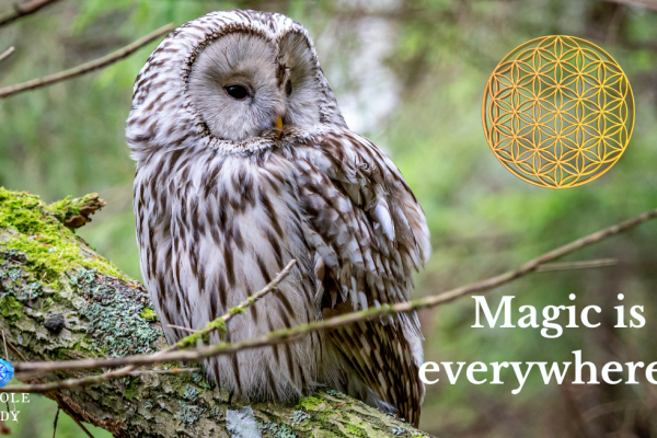 The Sacred Everyday – Monday Oracle 28 April 2025