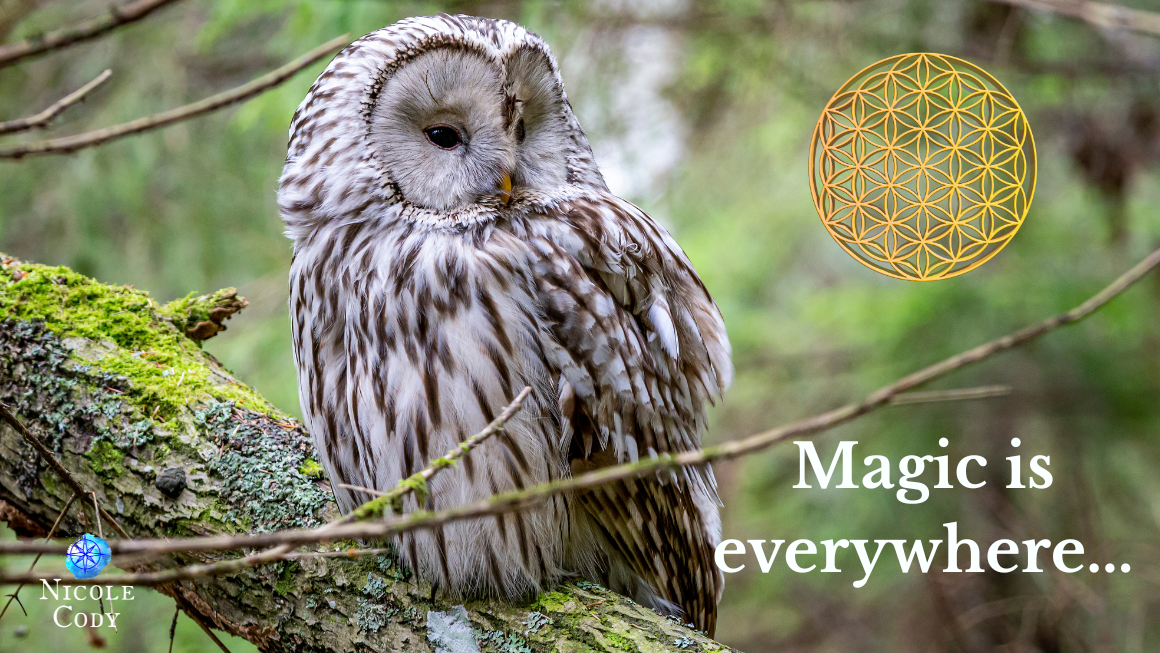 The Sacred Everyday – Monday Oracle 28 April 2025