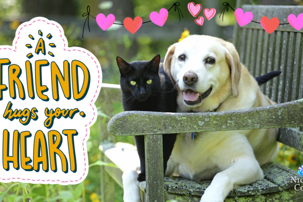 Love and Togetherness – Monday Oracle 20 October 2025