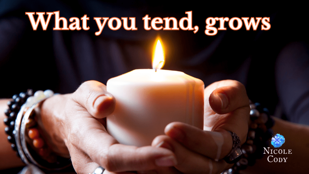 A woman’s cupped hands gently surround a cream candle with a golden flame against an indigo background, symbolising care, intention, and tending inner strength, with the words “What you tend, grows.”