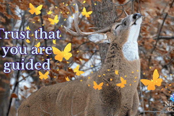 You Are Supported – Monday Oracle 23 March 2026