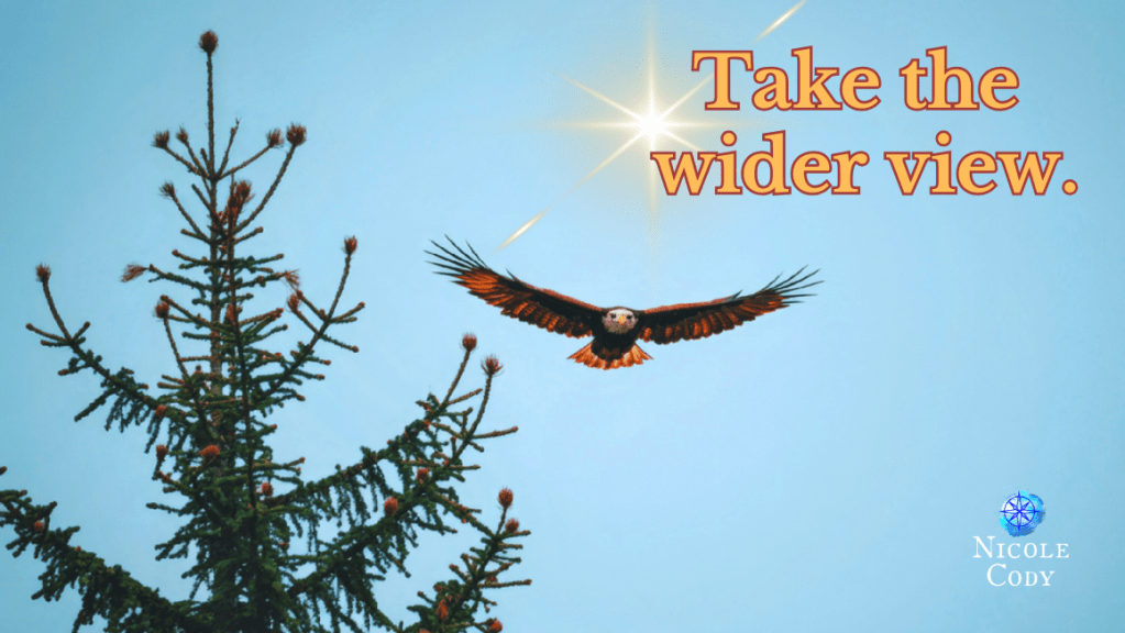 Eagle flying near the top of a tall pine tree against an open sky.