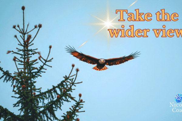 Take The Wider View – Monday Oracle 9 March 2026