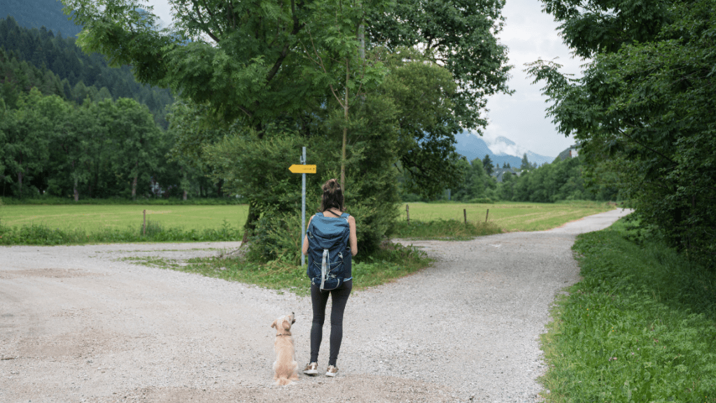 Woman standing at a fork in a forest path with her dog, reflecting on life's transitions, personal growth and new beginnings.
